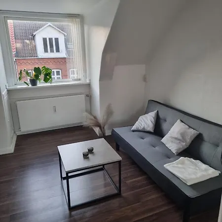 Apartment, Next To The 腓特烈西亚